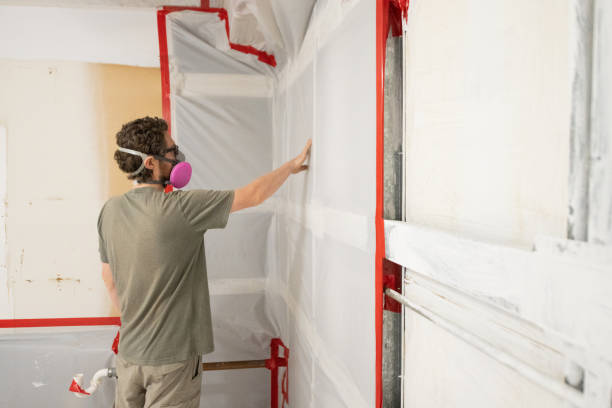 Best Mold Damage Restoration  in Juneau, AK